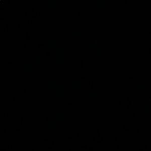 Meet your Posher, Izzy